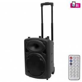 Hordozható zenekari hangdoboz, 25cm, akku, Bluetooth - PAB 25BT